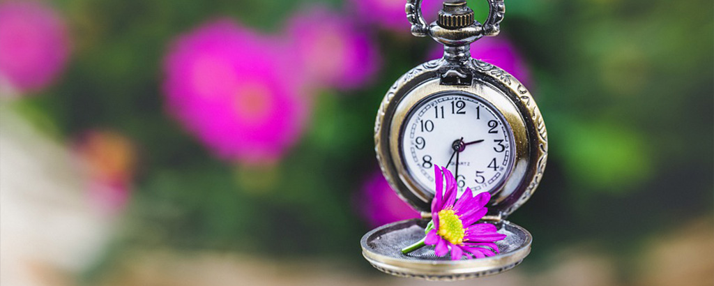 pocket watch with a flower, with hour hand moved forward an hour for daylight savings