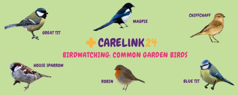 Birdwatching Common Garden Birds Carelink24