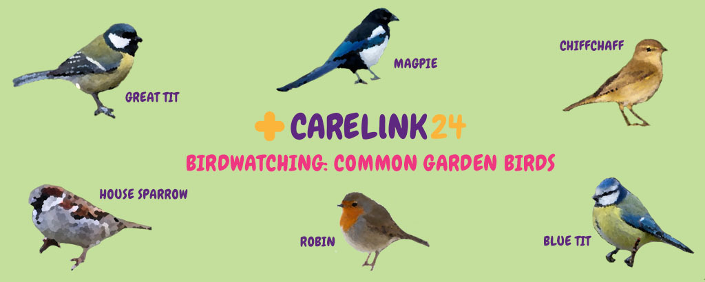 common garden birds, six birds around heading text