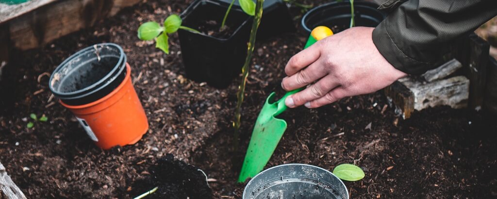 gardener using best garden tools for the elderly